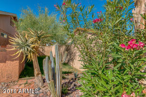 4615 E Mineral Rd, Phoenix, AZ 85044 photo 30