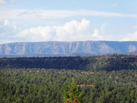 1406 E Tranquility Pt, Payson, AZ 85541 photo 42