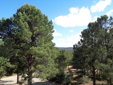 1406 E Tranquility Pt, Payson, AZ 85541 photo 44