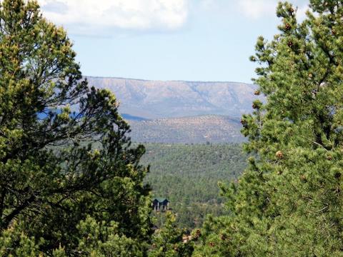 1406 E Tranquility Pt, Payson, AZ 85541 photo 43