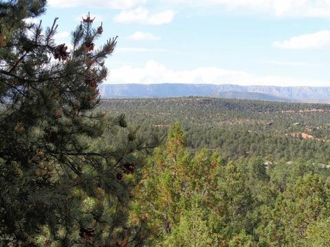 1406 E Tranquility Pt, Payson, AZ 85541 photo 41