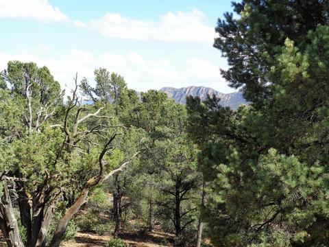 1406 E Tranquility Pt, Payson, AZ 85541 photo 45