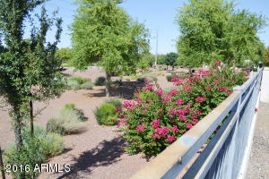 3306 E Windsor Dr, Gilbert, AZ 85296 photo 33