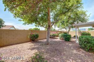 8051 E Olla Ave, Mesa, AZ 85212 photo 32