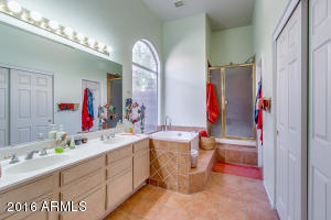 4727 E White Aster St, Phoenix, AZ 85044 photo 17