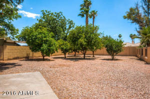 533 E Merrill Ave, Gilbert, AZ 85234 photo 29