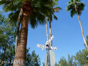 533 E Merrill Ave, Gilbert, AZ 85234 photo 40