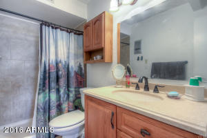 7230 E Ivyglen St, Mesa, AZ 85207 photo 19