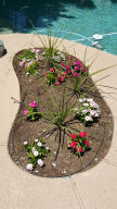 1332 E Rock Wren Rd, Phoenix, AZ 85048 photo 11