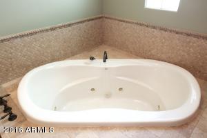 2941 E Waterman Way, Gilbert, AZ 85297 photo 18