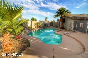 1280 E 26th Ln, Apache Junction, AZ 85119 photo 53