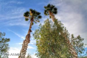 1280 E 26th Ln, Apache Junction, AZ 85119 photo 18