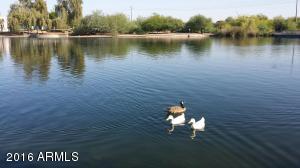 2437 Encinas Ave, Gilbert, AZ 85234 photo 36