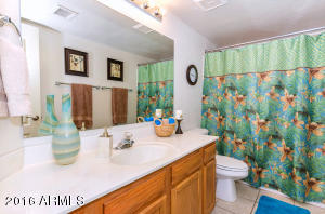2437 Encinas Ave, Gilbert, AZ 85234 photo 18