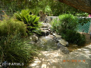 2301 E Mountain View Rd, Phoenix, AZ 85028 photo 31