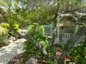 2301 E Mountain View Rd, Phoenix, AZ 85028 photo 34