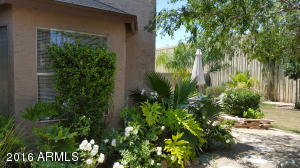 948 Escuda Dr, Phoenix, AZ 85024 photo 12