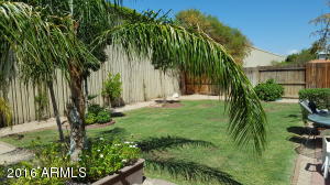 948 Escuda Dr, Phoenix, AZ 85024 photo 10