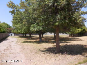 538 E Commerce Ave, Gilbert, AZ 85234 photo 22