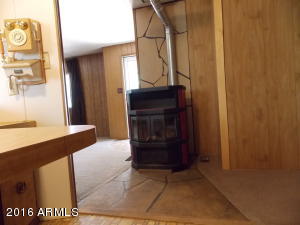 2176 Ruby Ln, Overgaard, AZ 85933 photo 17