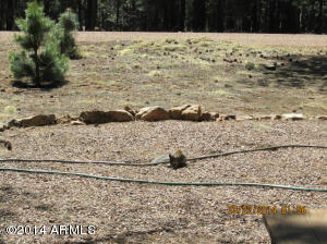 2540 Middle Loop, Forest Lakes, AZ 85931 photo 28