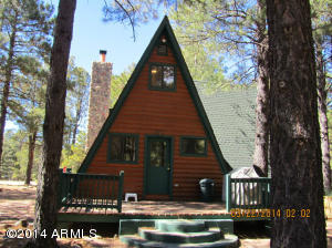 2540 Middle Loop, Forest Lakes, AZ 85931 photo 10