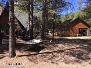 2540 Middle Loop, Forest Lakes, AZ 85931 photo 6