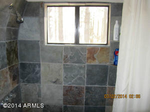 2540 Middle Loop, Forest Lakes, AZ 85931 photo 20
