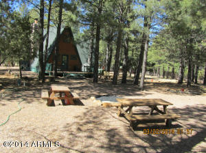 2540 Middle Loop, Forest Lakes, AZ 85931 photo 11