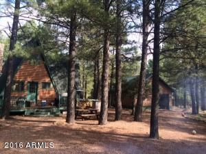 2540 Middle Loop, Forest Lakes, AZ 85931 photo 12