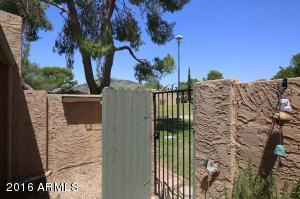 1150 E Beryl Ave, Phoenix, AZ 85020 photo 14
