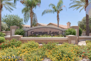 583 N Ocotillo Ln, Gilbert, AZ 85233 photo 15