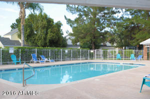 441 S Maple -- #1, Mesa, AZ 85206 photo 37