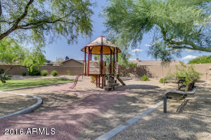 3522 E Tracker Trl, Phoenix, AZ 85050 photo 129