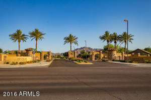 3679 E Powell Way, Gilbert, AZ 85298 photo 44
