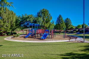 1724 E Park Ave, Gilbert, AZ 85234 photo 45