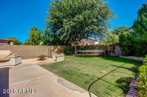 1724 E Park Ave, Gilbert, AZ 85234 photo 30