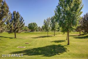 3646 E Marlene Dr, Gilbert, AZ 85296 photo 71