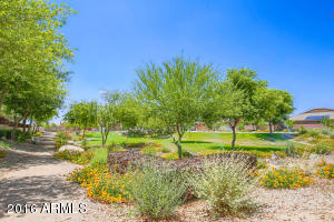 1512 E Kingbird Dr, Gilbert, AZ 85297 photo 25