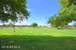2029 E Hackberry Pl, Chandler, AZ 85286 photo 41