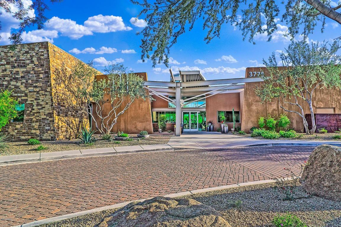 3808 E Ringtail Way, Phoenix, AZ 85050 photo 36