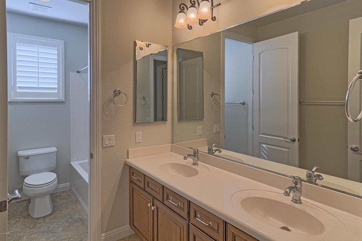 3808 E Ringtail Way, Phoenix, AZ 85050 photo 22