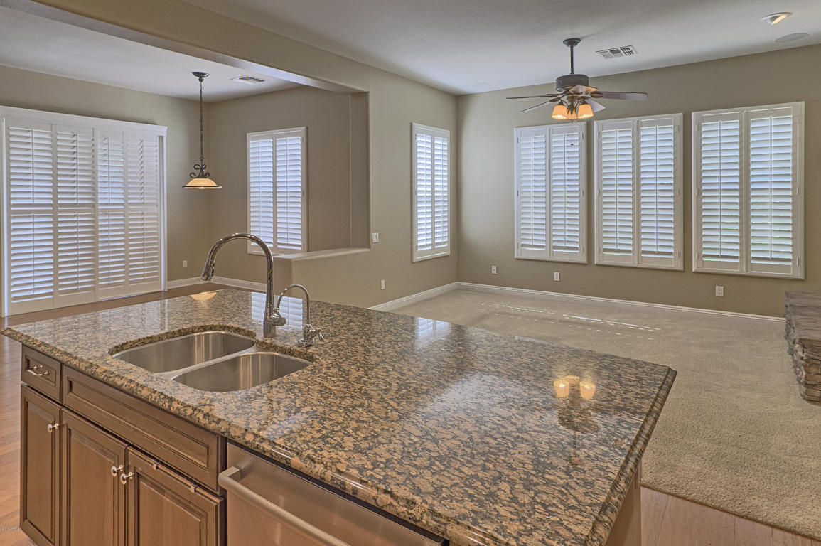 3808 E Ringtail Way, Phoenix, AZ 85050 photo 12