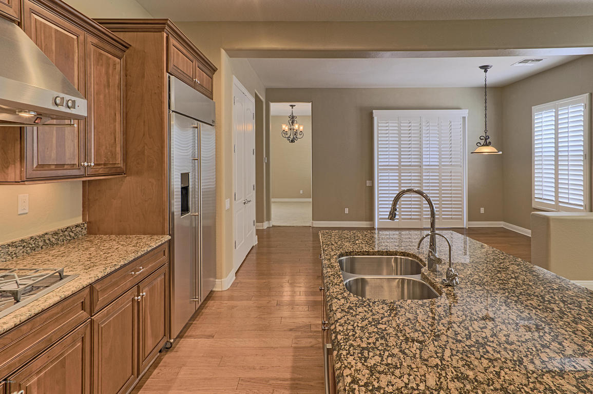 3808 E Ringtail Way, Phoenix, AZ 85050 photo 11