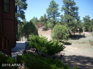 2247 Forest Park Dr, Overgaard, AZ 85933 photo 12