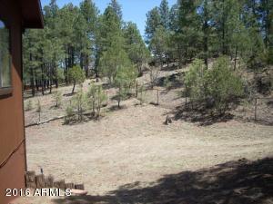 2247 Forest Park Dr, Overgaard, AZ 85933 photo 10