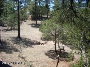 2247 Forest Park Dr, Overgaard, AZ 85933 photo 8