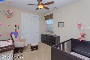 3717 E Matthew Dr, Phoenix, AZ 85050 photo 19