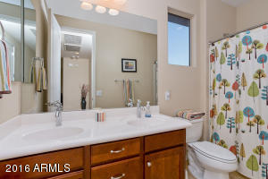 3717 E Matthew Dr, Phoenix, AZ 85050 photo 21