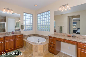 3717 E Matthew Dr, Phoenix, AZ 85050 photo 17
